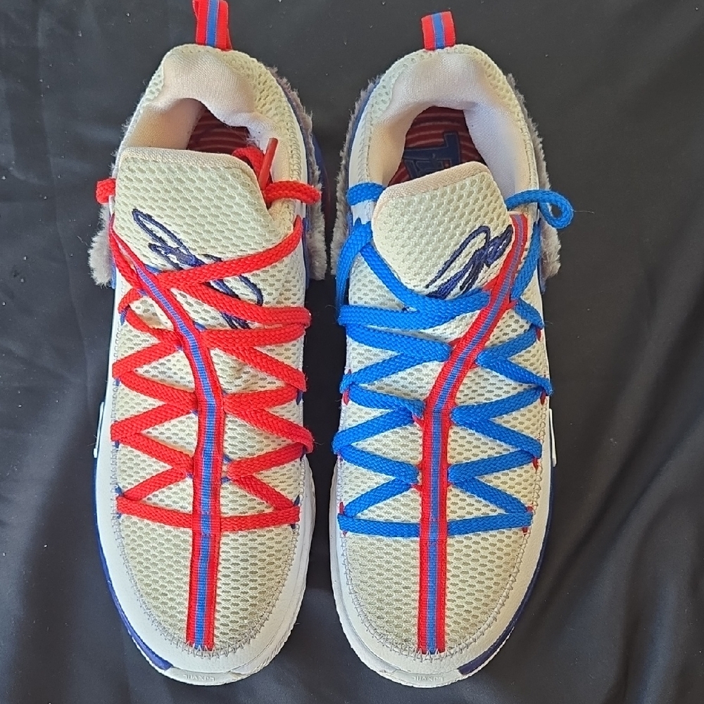 Nike Lebron Tune Squad Red and Blue Lace Sneakers
